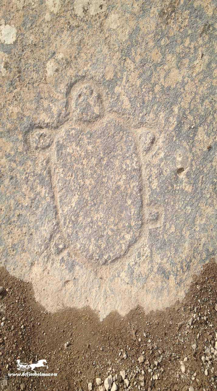 oyma kaplumbağa işareti